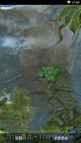 3d鱼池动态壁纸（Koi）截图2