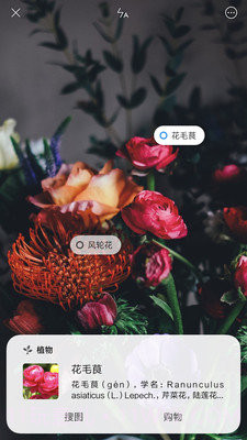 小米智能识物截图1 小米智能识物截图1