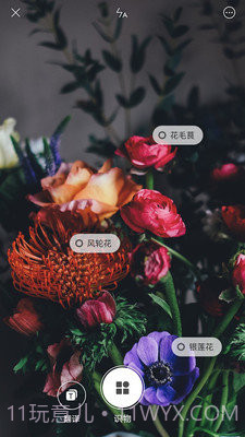 小米智能识物截图3 小米智能识物截图3