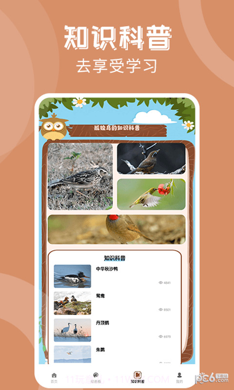 孤独的鸟治愈你截图2 孤独的鸟治愈你截图2