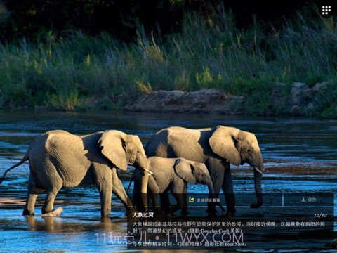 国家地理APP截图5 国家地理APP截图5