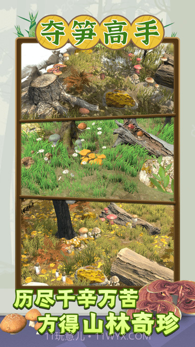 夺笋高手截图3