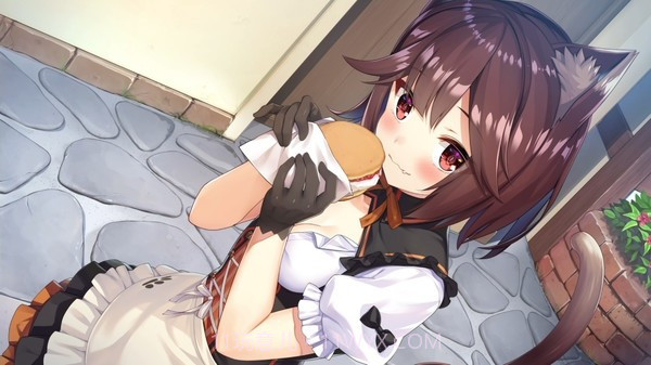 异世界酒馆六重奏截图3