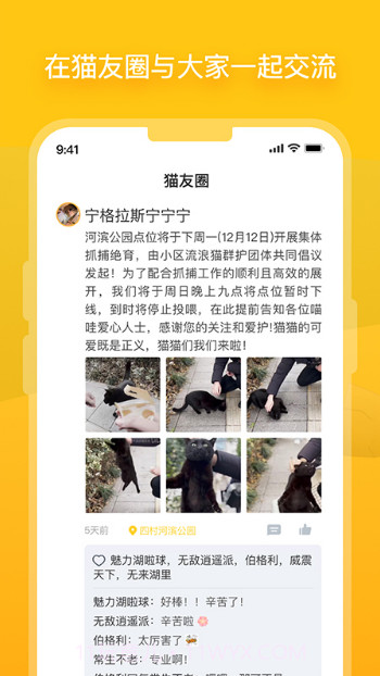 哈啰街猫最新版v1.0.1截图2