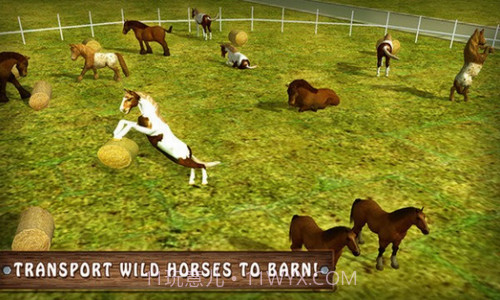 模拟野马动物园运输卡车截图3