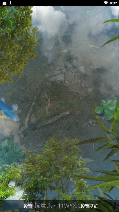 锦鲤鱼池3D动态壁纸(鱼池)截图4 锦鲤鱼池3D动态壁纸(鱼池)截图4