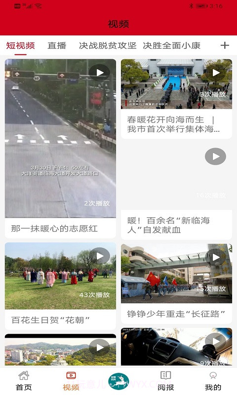 掌心临海2025最新版截图2