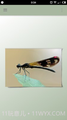 一幅相框v2.660截图1