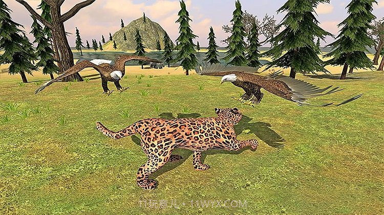 猎鹰模拟器截图2