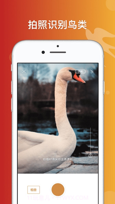 形色识鸟截图3