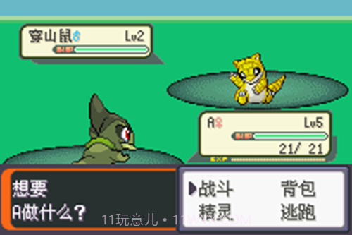 口袋妖怪：胜利之火（悟饭）截图3