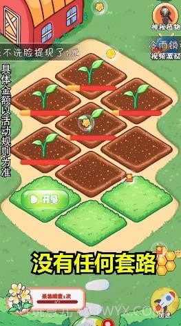 我的大花园截图1