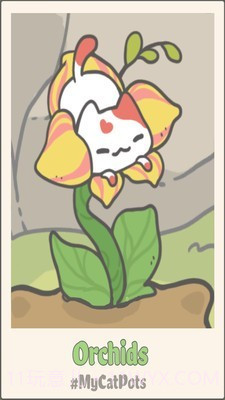 我的猫盆栽截图4 我的猫盆栽截图4