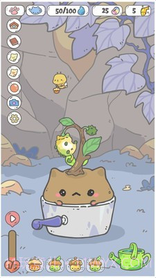 我的猫盆栽截图2 我的猫盆栽截图2