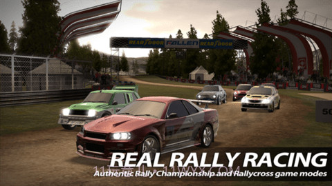 拉力赛（Rush Rally 2）截图2