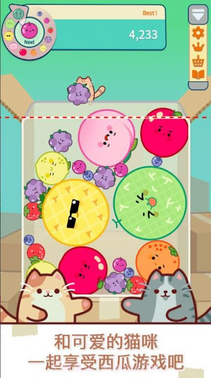 猫和西瓜截图4