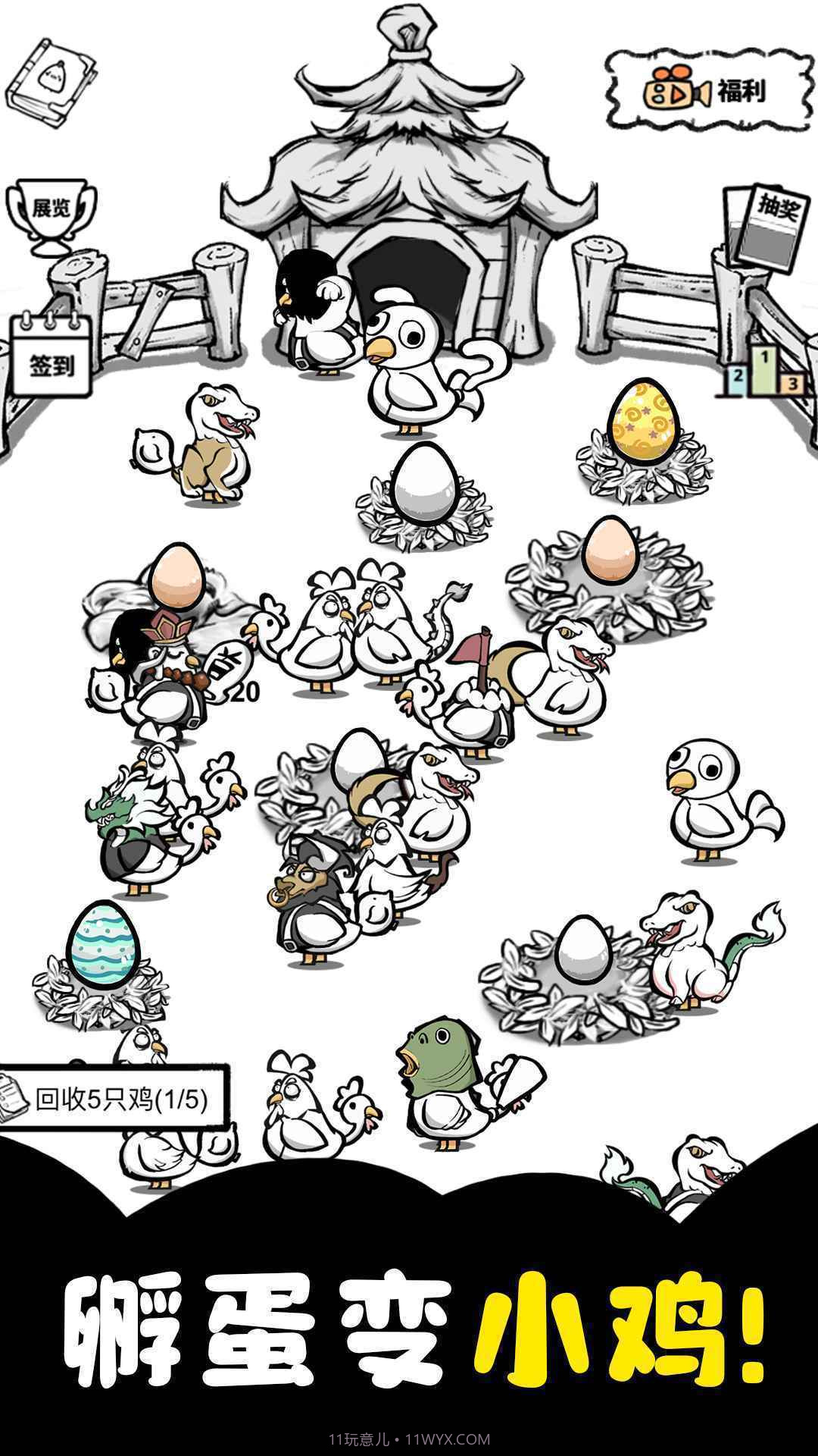 养鸡时长两年半截图3 养鸡时长两年半截图3