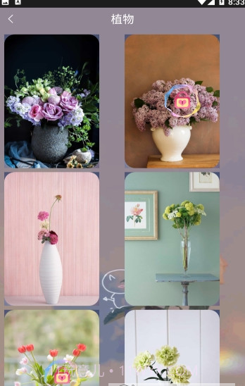 元气可爱壁纸截图3 元气可爱壁纸截图3