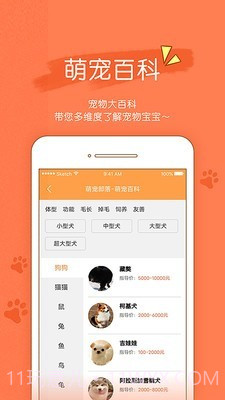 宠物部落截图3