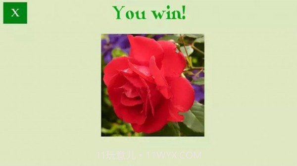 花卉拼图谜题截图3