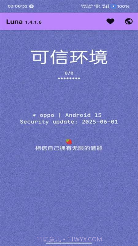Luna环境检测工具免费正版截图3