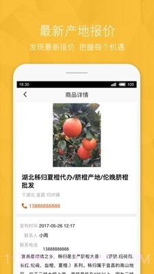 宁夏农产品信息网截图3