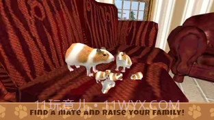 养豚鼠进化模拟器截图3 养豚鼠进化模拟器截图3