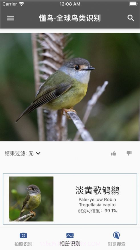 懂鸟全球截图4 懂鸟全球截图4