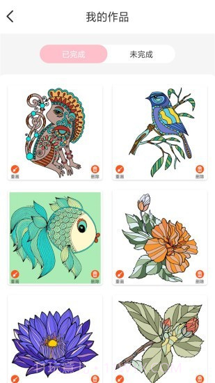 paint数字填色书截图3