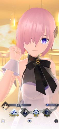 Fate Grand Order Waltz截图2