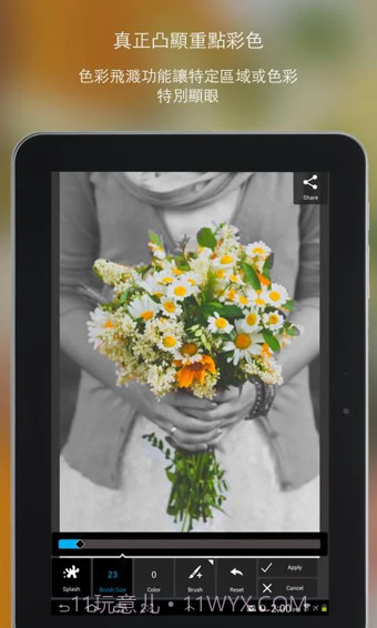 PixlrExpress手机版截图2