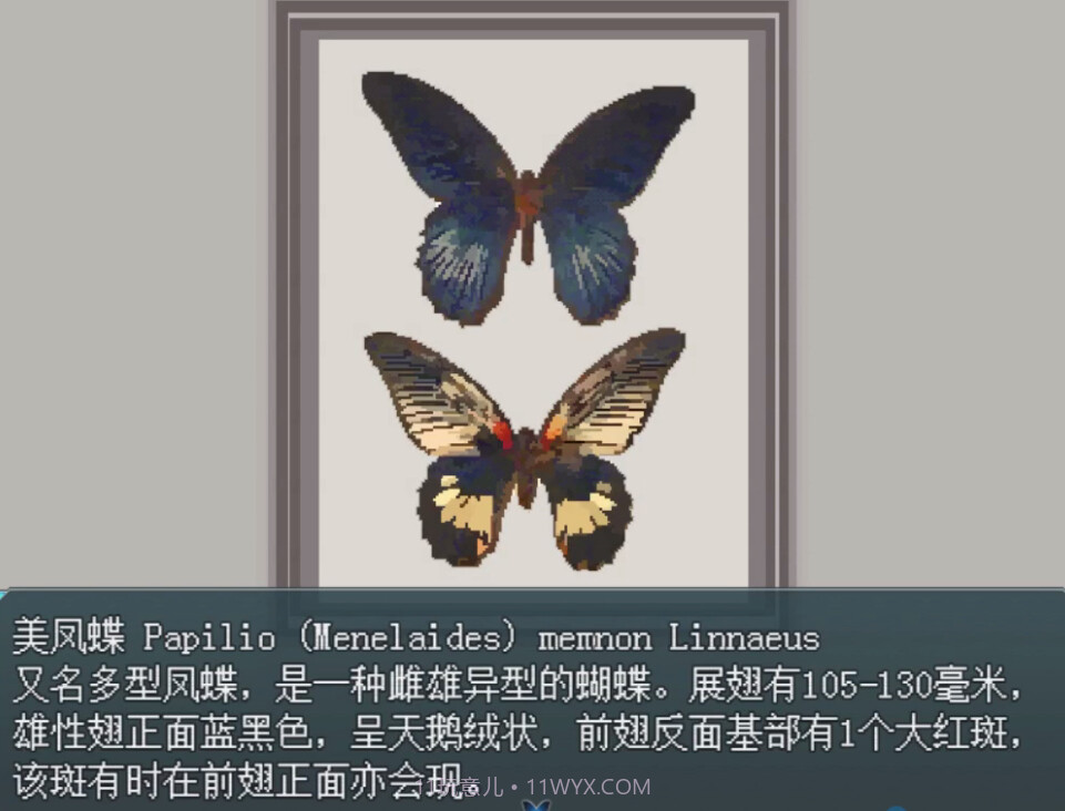 白夜博物馆移植版截图5