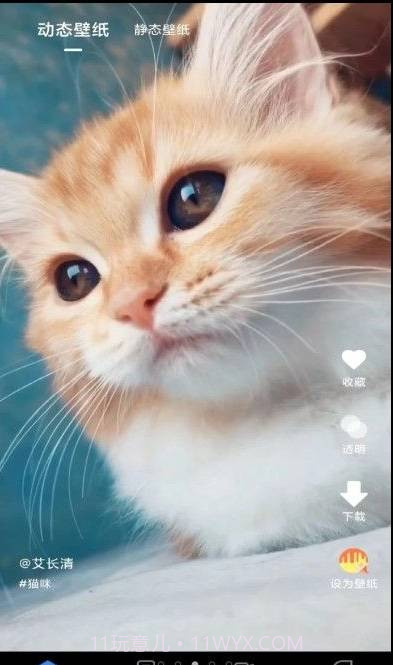 快滑壁纸秀秀截图3