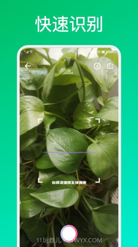 识花君植物识别截图1