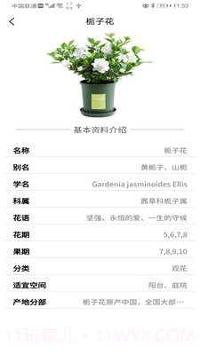 识花神器截图5 识花神器截图5