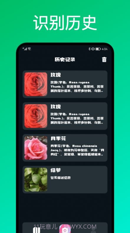 识花君植物识别截图3