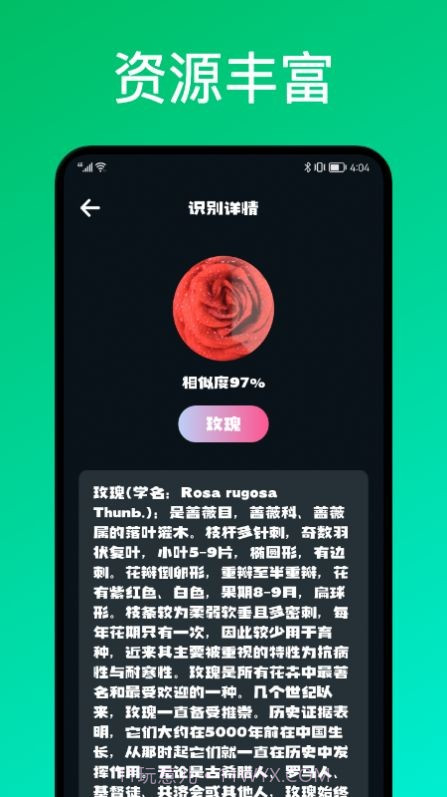 识花君植物识别截图2