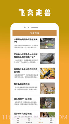 飞禽大全资讯截图1