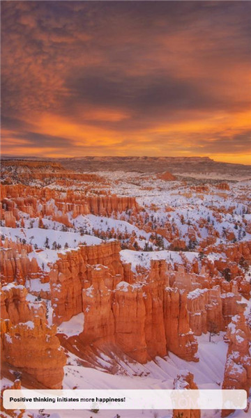 宝可梦词典截图2 宝可梦词典截图2