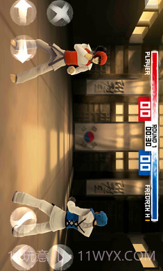 跆拳道大奖赛测试版截图3