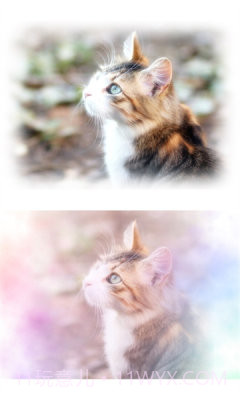 WataameCamera最新版截图2